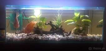 Akvarium