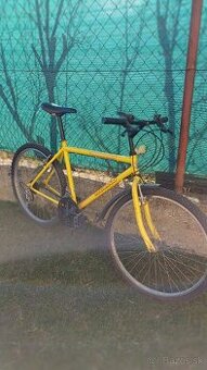 Velamos Magnus žltý