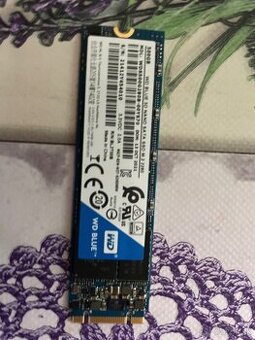 Predam ssd disk 500gb