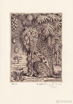 predam grafiky od Peter Klucik