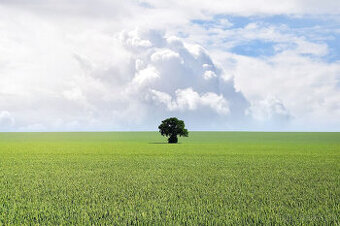 Väčší stavebný pozemok s povolením a projektom na Zobore