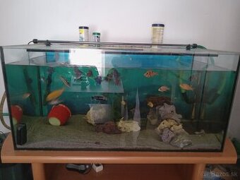 Akvarium