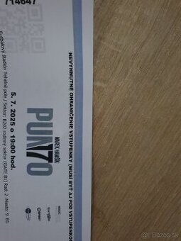 Punto 17