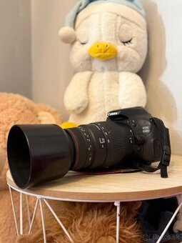 Canon EOS 600D + Canon 50mm f/1.8 + Sigma 70-300mm