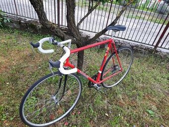 Favorit  F1 special, Campagnolo