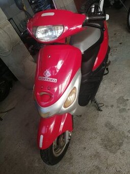 Adamoto 50 - 1
