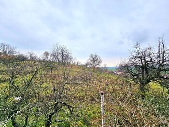 Rekreačný pozemok s vinicou Staré Levice