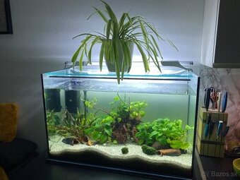 Rezervované: Akvarium 120l