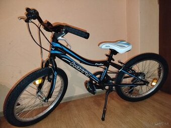 Bicykel 20 Harry