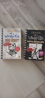 Denník odvážneho bojka v anglictine