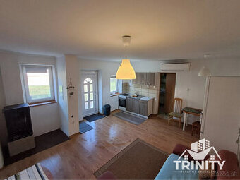 Na predaj 2-izbový dom s velkým pozemkom v obci Palárikovo, - 1