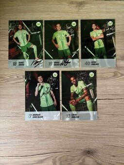 VfL Wolfsburg 2024/25 podpísané kartičky futbal Bundesliga
