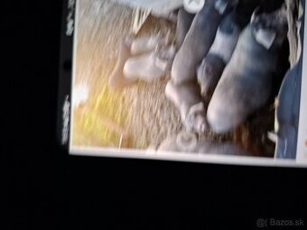 Predám krmniky a odstavcata klaptouche