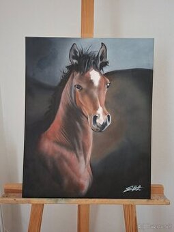 Obraz koníka 40x50cm