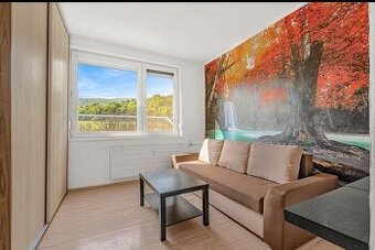 garzonka na prenajom Partizanske