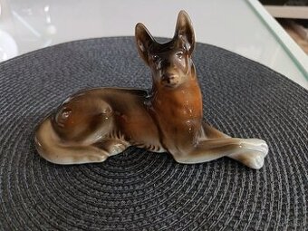 Nemecký ovčiak Royal dux