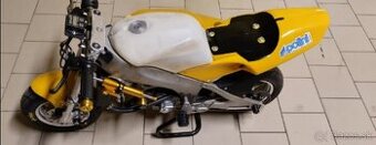 Minibike POLINI/Blata - 1