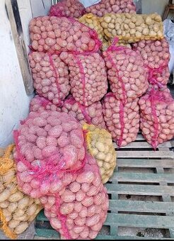 Domace zemiaky Soraya