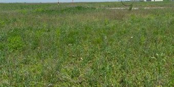 PROJEKT+ STAVEBNÝ POZEMOK