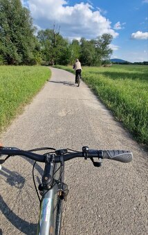 Požičiam bicykel v Bratislave, devínske jazero (3 ks)
