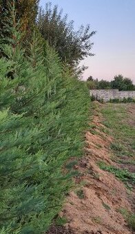Predám stavebný pozemok 540m 2 ,v Nitre na Šúdolskej ul.