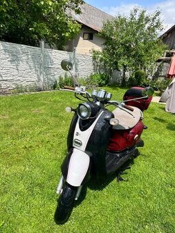 Adams moto JinLun 50ccm3 Retro