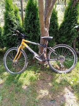 Bicykel Dema - 1