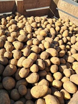 Zemiaky 0,49€-kg, cibuľa 0,85€
