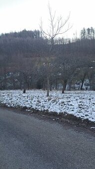 Stavebný pozemok Brestovec - 1