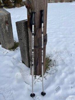 Lyžiarske palice 110 cm