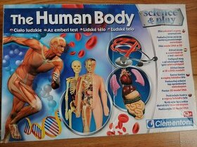 Ľudské telo s fonendoskopom - 1