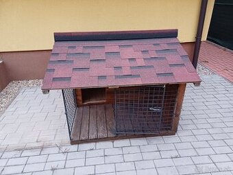Buda pre psa