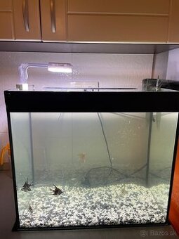 Predám akvárium