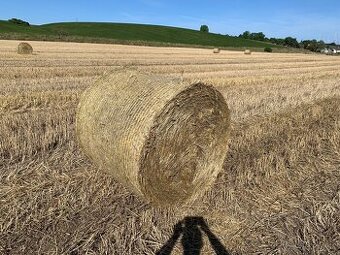 Slama na predaj
