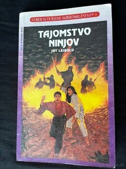 Tajomstvo ninjov – Vyber si vlastné dobrodružstvo (1991, vzá