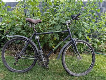 Pánsky bicykel Fatria-Čaprnka s nástavcom pre psa