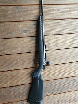 Ruger American 22lr