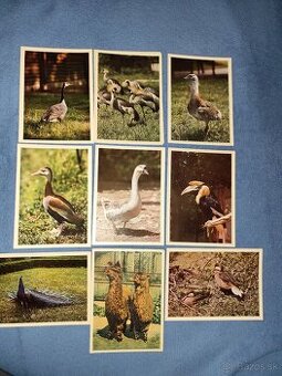 Staršie pohľadnice