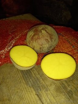 domace zemiaky red anna