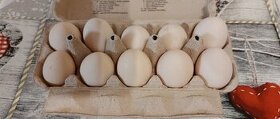 Slepačie vajíčka - 1
