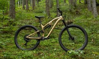 ROCKRIDER  All Mountain FEEL 700 LT 29