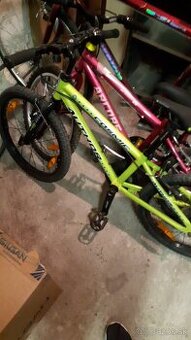 Author cosmic 32T limogreen