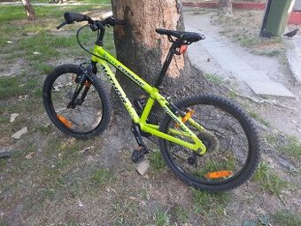 Author cosmic 32T limogreen
