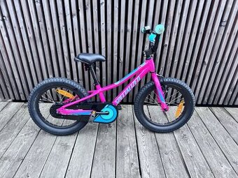 SPECIALIZED Riprock Coaster 16