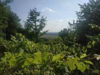 Záhrada Ratnovce Piešťany 627m2