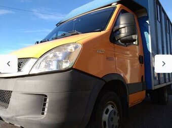 Iveco turbo daily prevoz koni