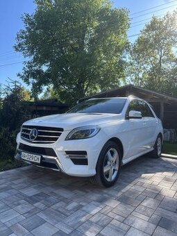 Mercedes-Benz ML 350 BlueTEC 4x4 AMG Packet