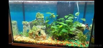 Komplet akvárium - Tetra 50L