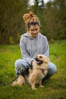 Darujem malú jemnú chlpatú sučku - mix špic Čita