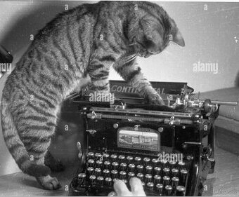 predám starožitný písací stroj Continental - Wanderer W.